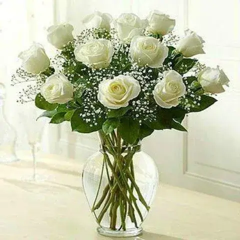 SAME DAY WHITE ROSES DELIVERY ATHENS 12 PREMIUM ECUADOR ROSES 21FLOWERS
